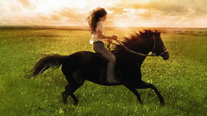 Флика (фильм, 2006)