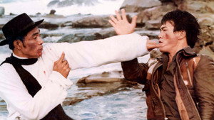 Уходит дракон, появляется тигр (фильм, 1976)