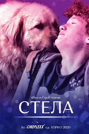 Стела (фильм, 2020)