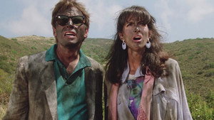 Последнее развлечение (фильм, 1987)