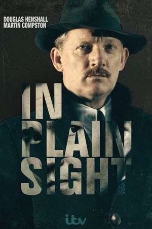 На виду (сериал, 2016)
