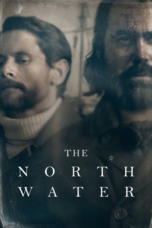 Северные воды (сериал, 2021)