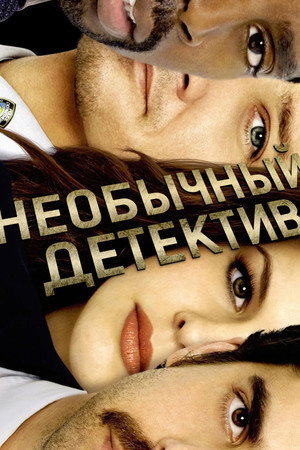 Необычный детектив (сериал, 2009)