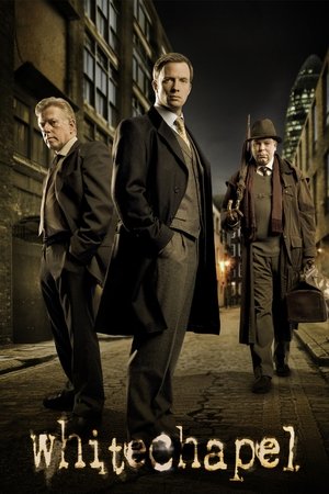 Современный потрошитель (сериал, 2009)