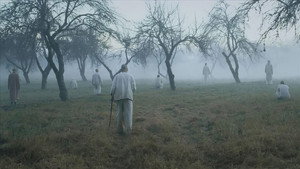 Запорошенные пеплом (фильм, 2016)