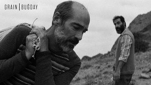 Зерно (фильм, 2017)