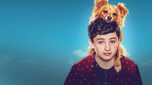 Целебные силы дружка (сериал, 2020)