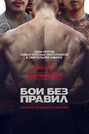 Бои без правил (фильм, 2017)