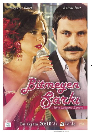 Недопетая песня (сериал, 2010)