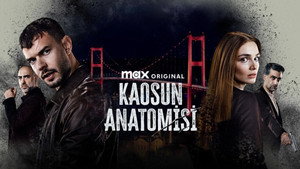 Анатомия хаоса