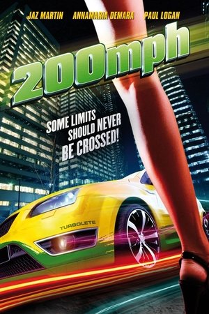 300 километров в час (фильм, 2011)
