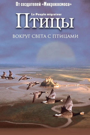 Птицы (фильм, 2001)