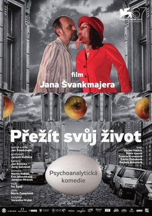 Пережить свою жизнь (мультфильм, 2010)