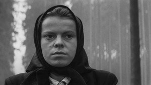 Повозка в Вену (фильм, 1966)