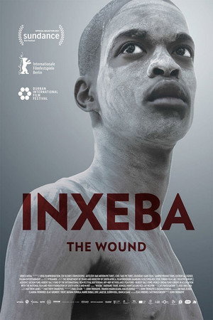 Рана (фильм, 2017)
