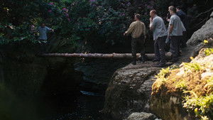 Дикость (фильм, 2006)