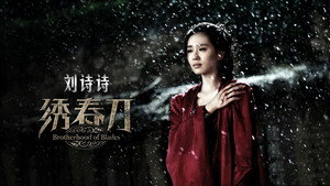 Братство клинков (фильм, 2014)