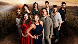 Любимое прошлое (сериал, 2019)