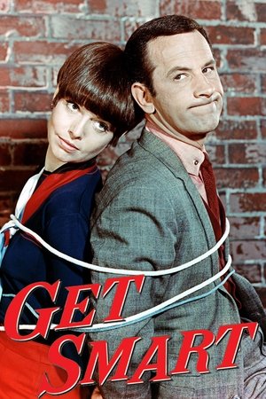 Напряги извилины (сериал, 1965)