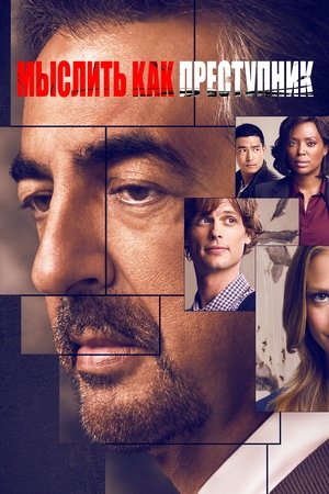 Мыслить как преступник (сериал, 2005)