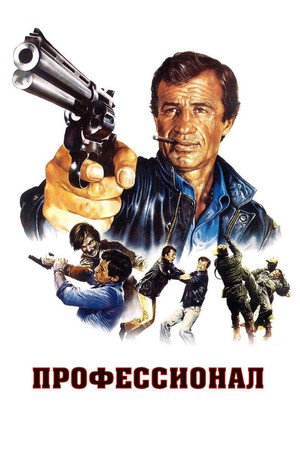 Профессионал (фильм, 1981)