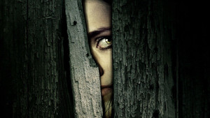 Боль (фильм, 2009)
