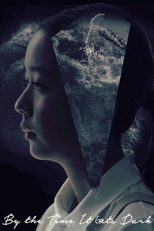 Когда стемнеет (фильм, 2016)