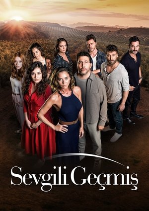 Любимое прошлое (сериал, 2019)