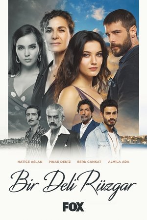Сумасшедший ветер (сериал, 2018)