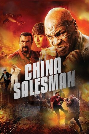 Китайский продавец (фильм, 2017)