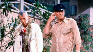 Риф Донована (фильм, 1963)