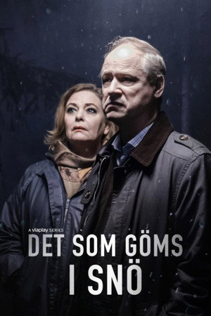 То, что спрятано под снегом (сериал, 2018)