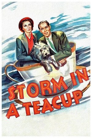Буря в стакане воды (фильм, 1937)