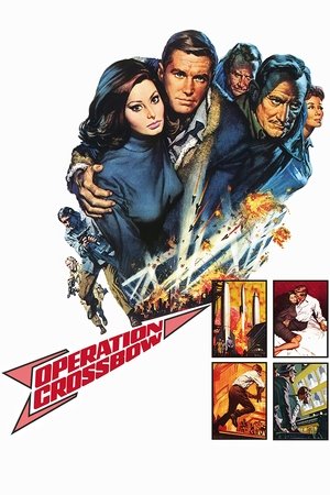 Операция «Арбалет» (фильм, 1965)