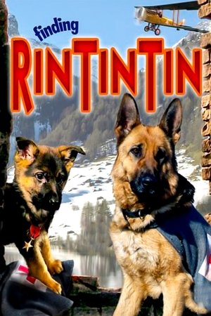 Приключения пса (фильм, 2007)