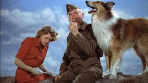 Сын Лесси (фильм, 1945)