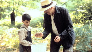 Язык бабочек (фильм, 1999)