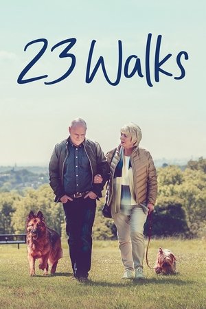 23 прогулки (фильм, 2020)