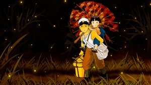 Могила светлячков (1988)