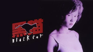 Черная кошка (фильм, 1991)