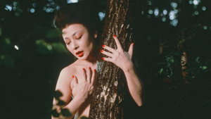 Леди Каруидзава (фильм, 1982)