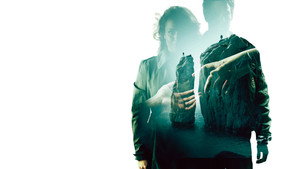 Друзья на всю жизнь (фильм, 2013)