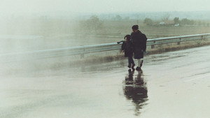Пейзаж в тумане (фильм, 1988)