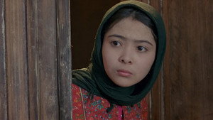 Дождь (фильм, 2001)