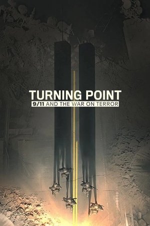 Поворотный момент: 9/11 и война с терроризмом (сериал, 2021)