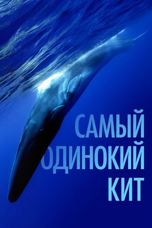 Самый одинокий кит на планете: в поисках Пятидесятидвухгерцового кита (фильм, 2021)