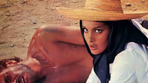 Семь пистолетов МакГрегоров (фильм, 1966)