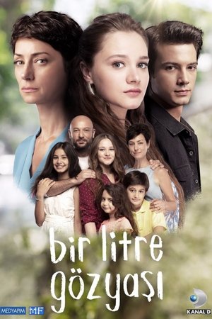 Один литр слёз (сериал, 2018)