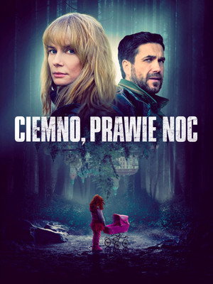 Темно, почти ночь (фильм, 2019)