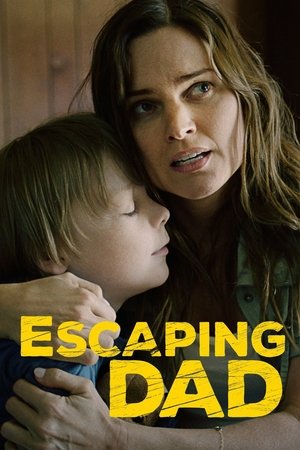 В бегах (фильм, 2017)